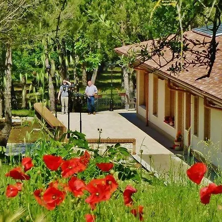 Valle Dei Pini-3
